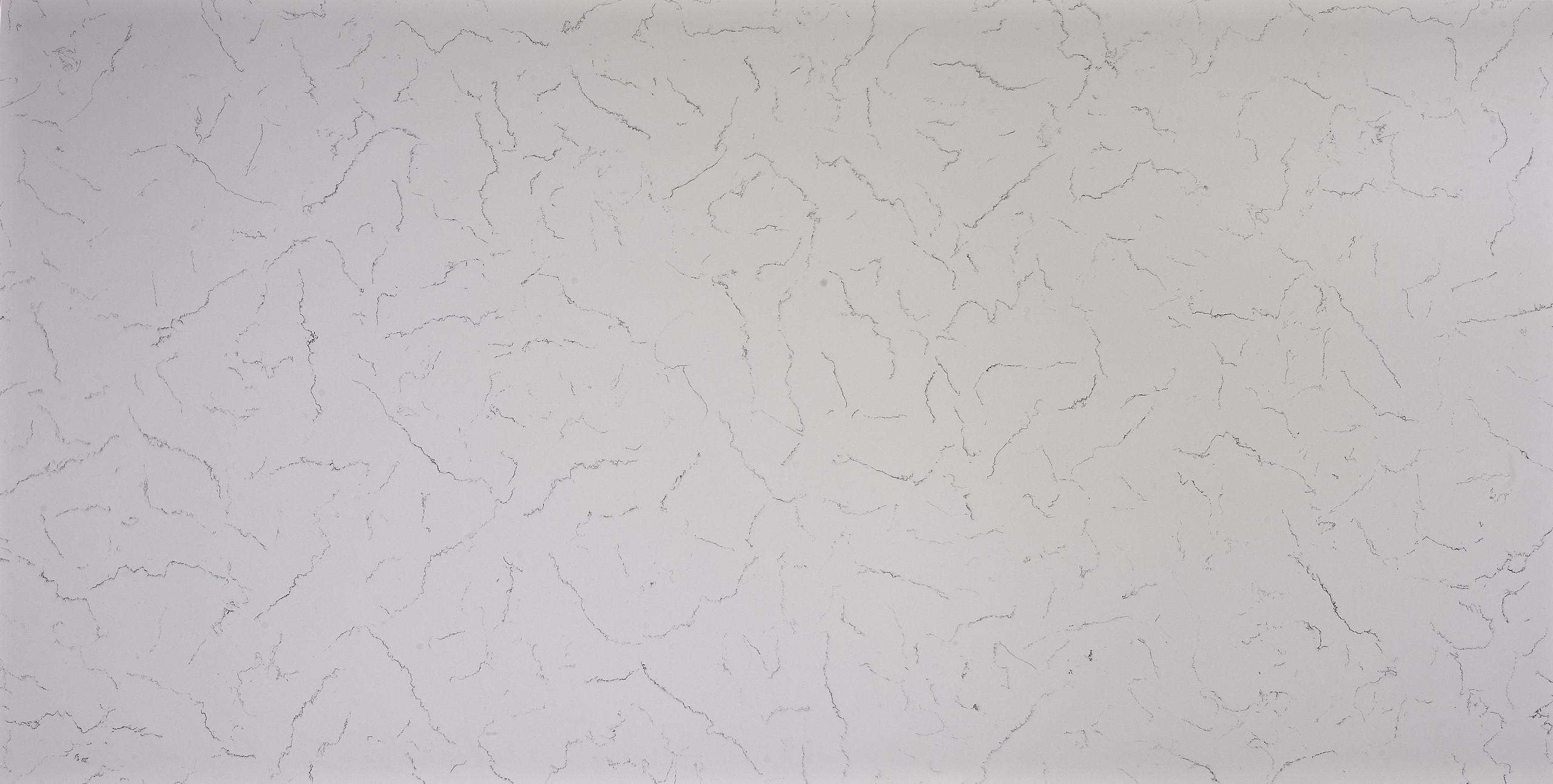 Carrara Lyra 2018